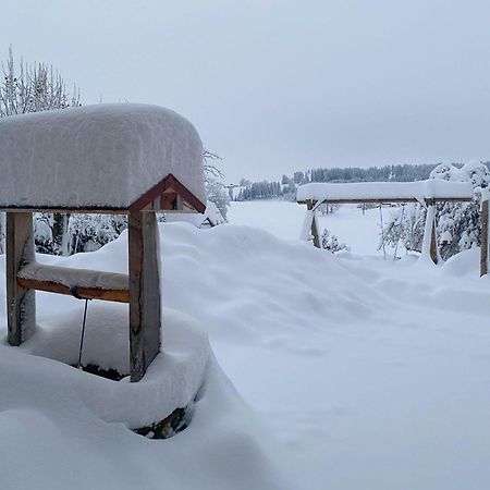 Trollenhof Im Allgaeu - Ferienwohnungen Saeuling Ruckholz 外观 照片