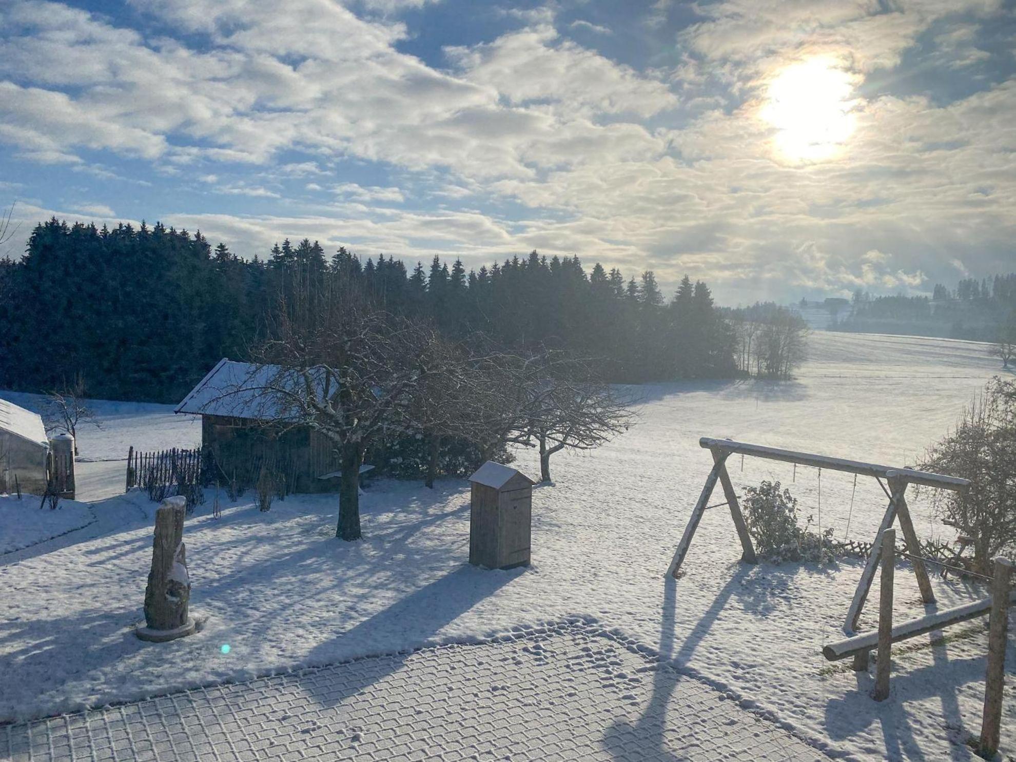Trollenhof Im Allgaeu - Ferienwohnungen Saeuling Ruckholz 外观 照片