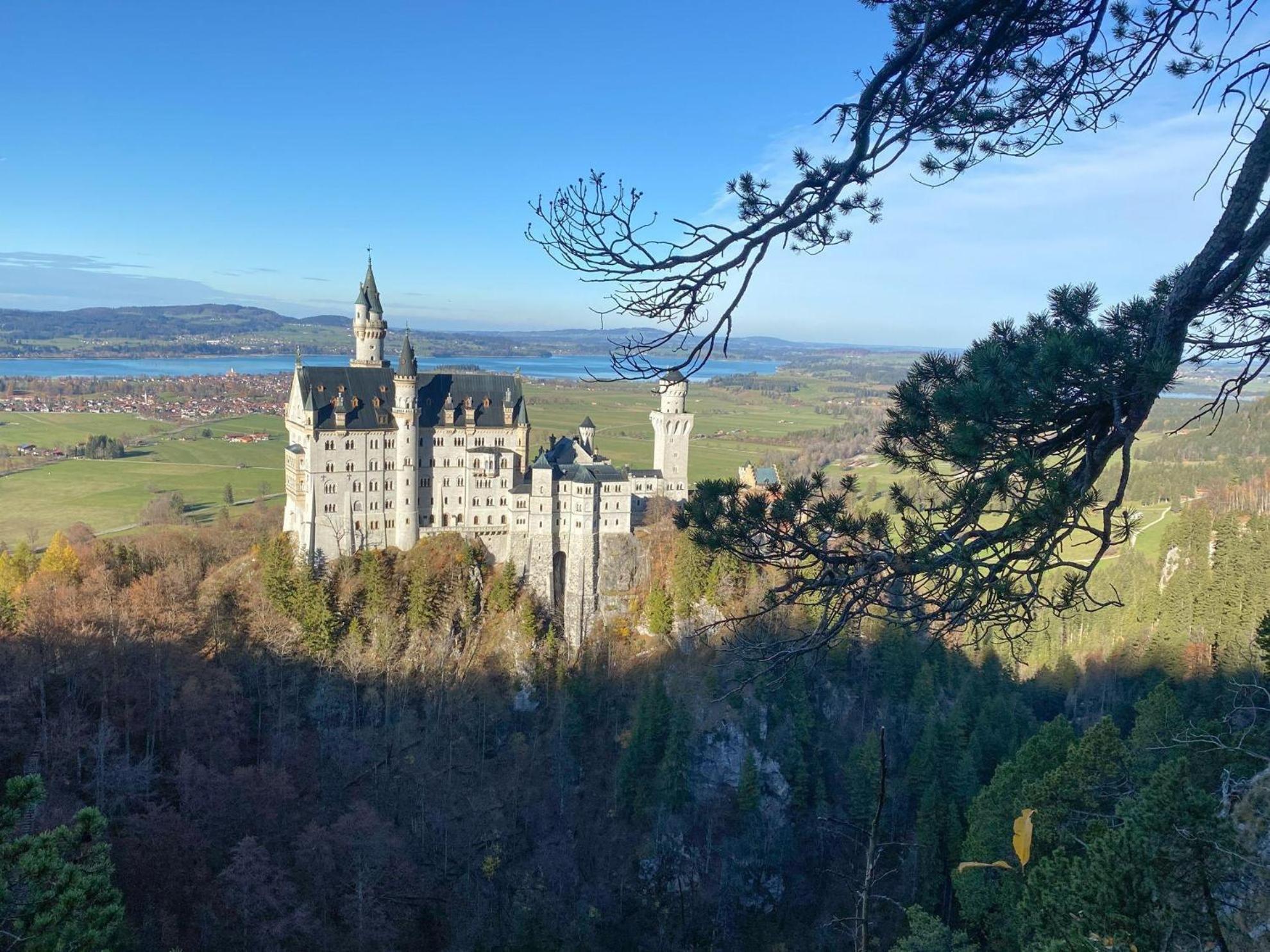 Trollenhof Im Allgaeu - Ferienwohnungen Saeuling Ruckholz 外观 照片