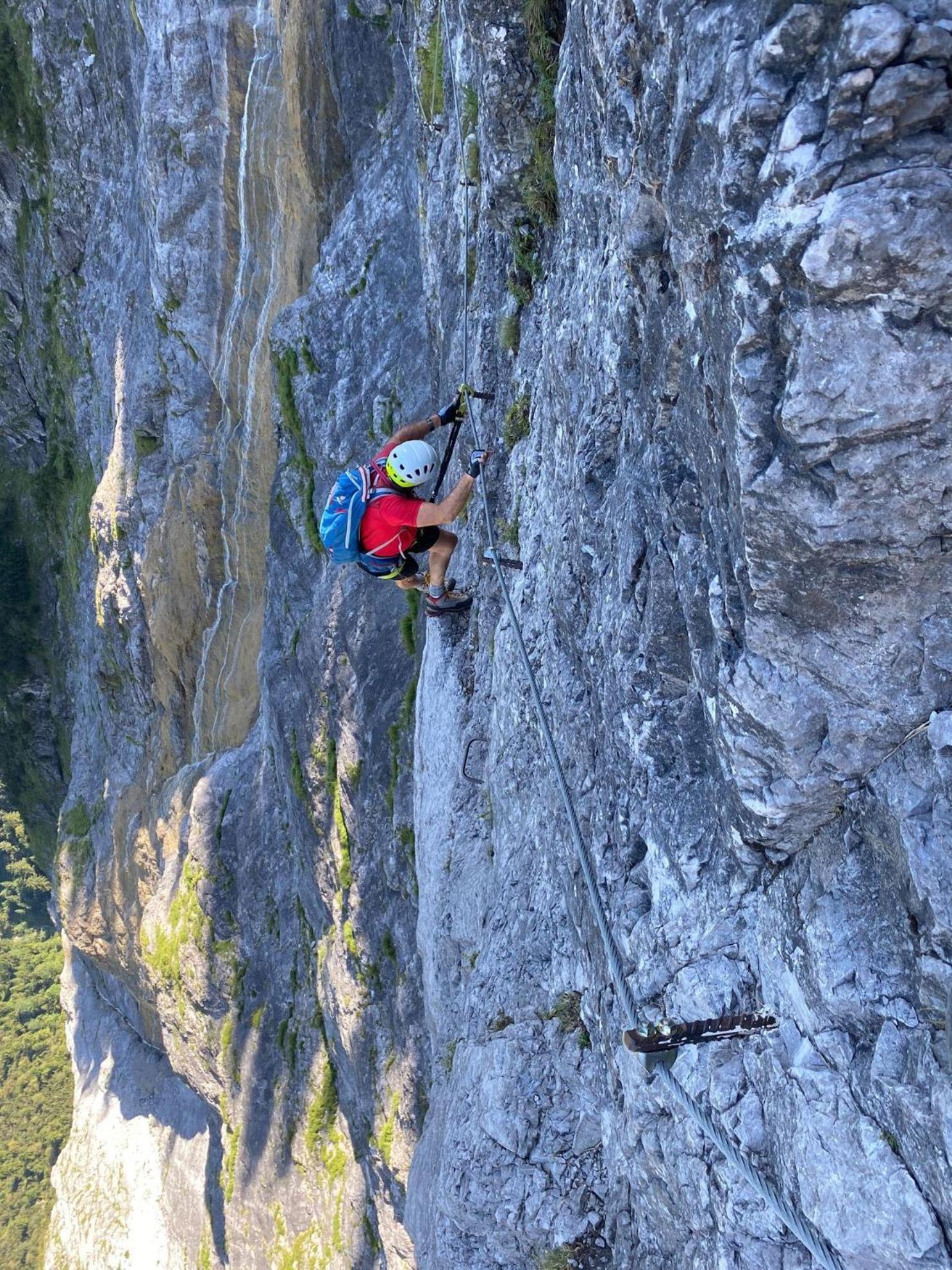 Trollenhof Im Allgaeu - Ferienwohnungen Saeuling Ruckholz 外观 照片