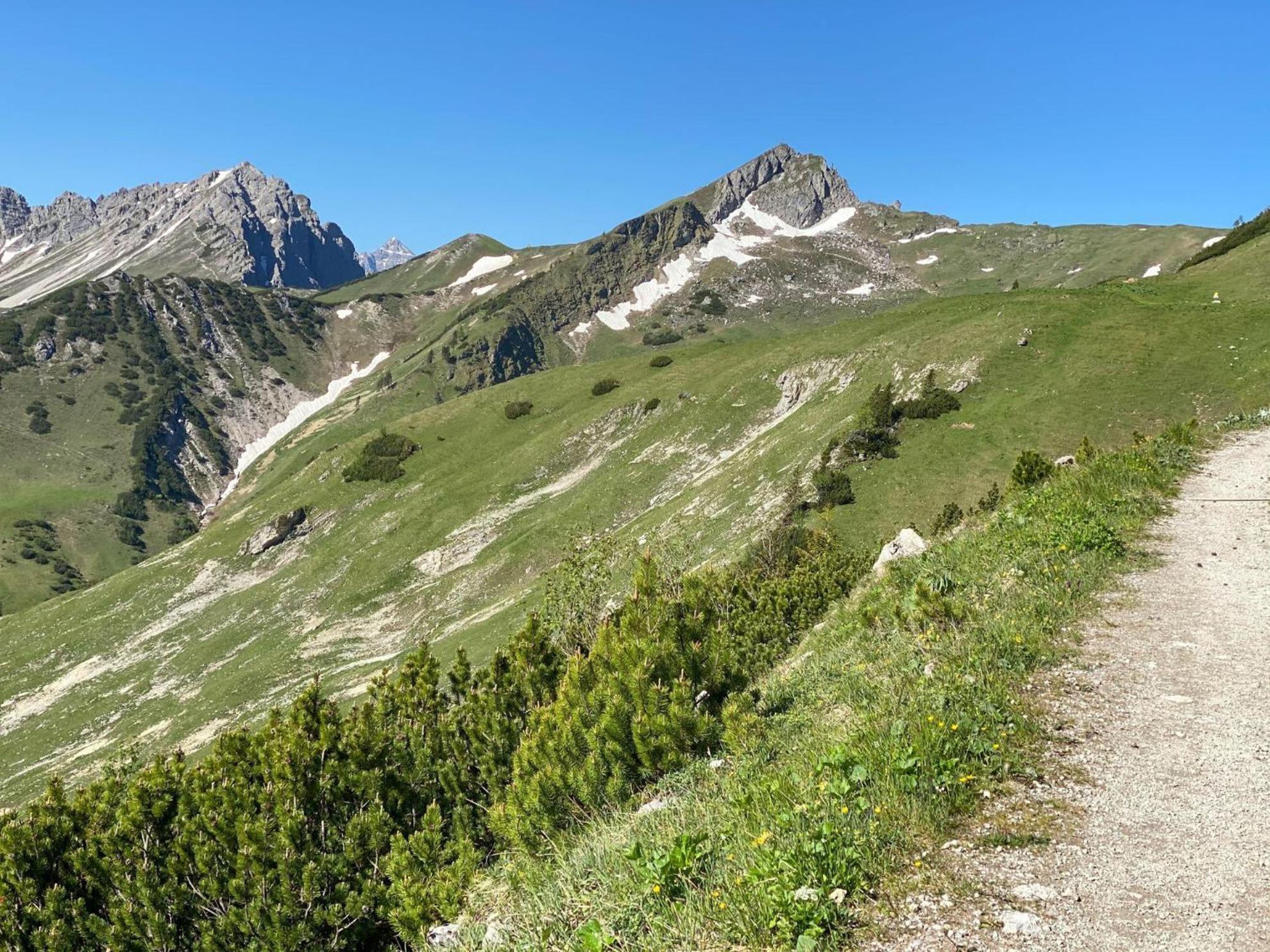 Trollenhof Im Allgaeu - Ferienwohnungen Saeuling Ruckholz 外观 照片