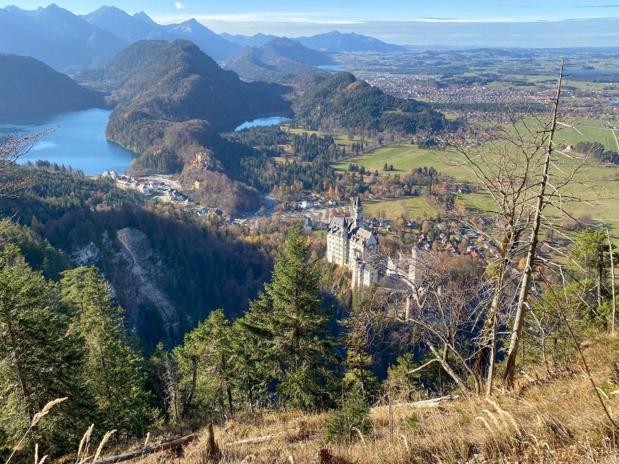 Trollenhof Im Allgaeu - Ferienwohnungen Saeuling Ruckholz 外观 照片